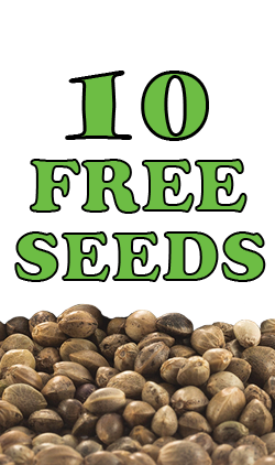 10 Free Seeds
