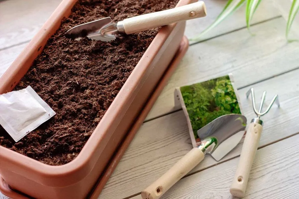 Best Soil for Cannabis Growing