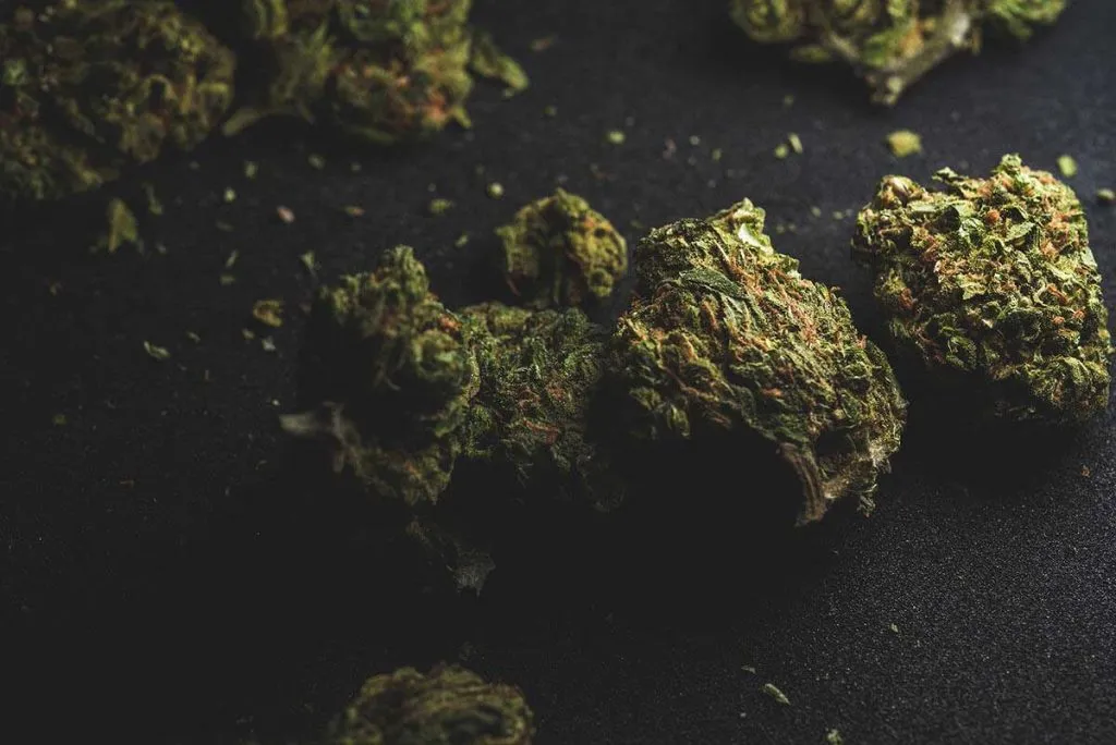 Cannabis Dry Sifting