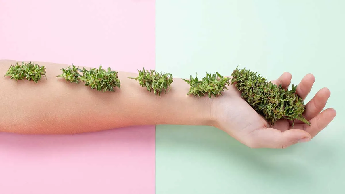 Does Weed Make You Hallucinate