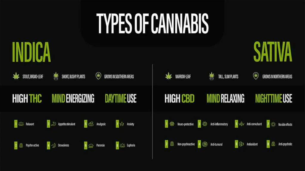 Indica vs Sativa