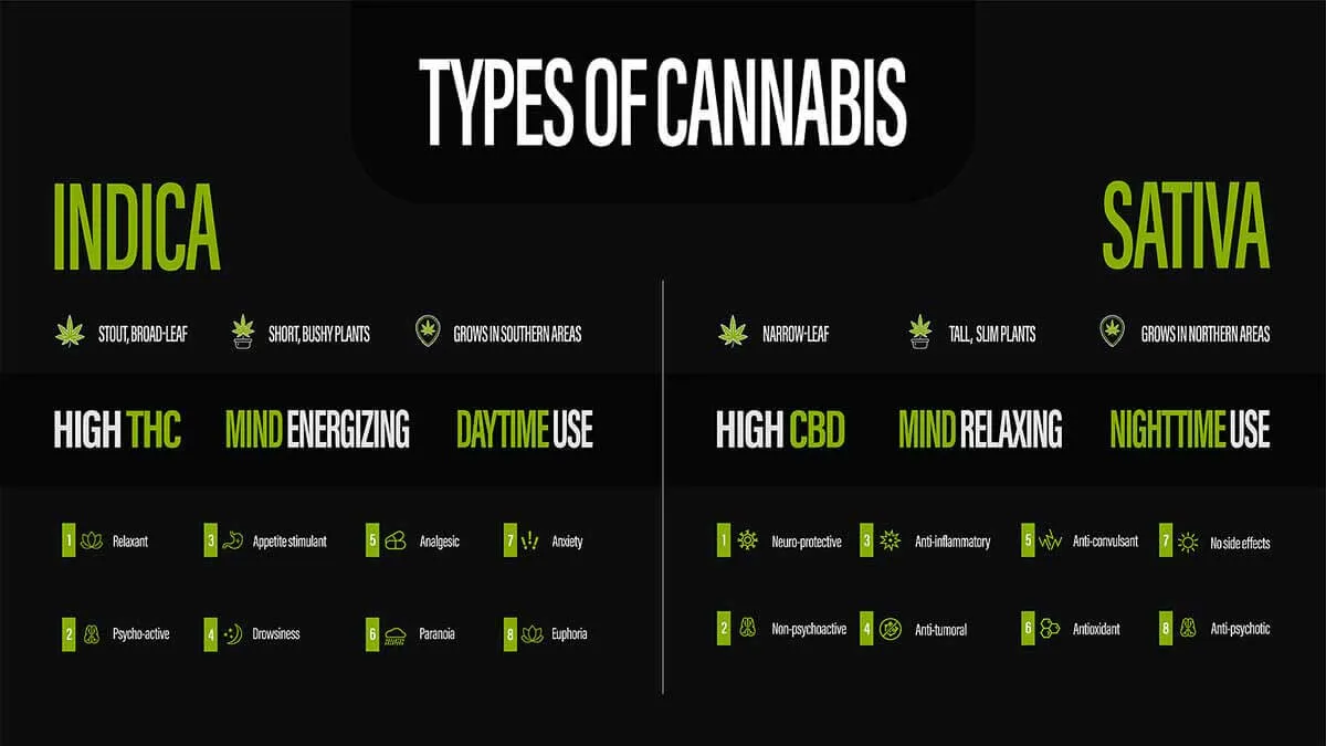 Indica vs Sativa
