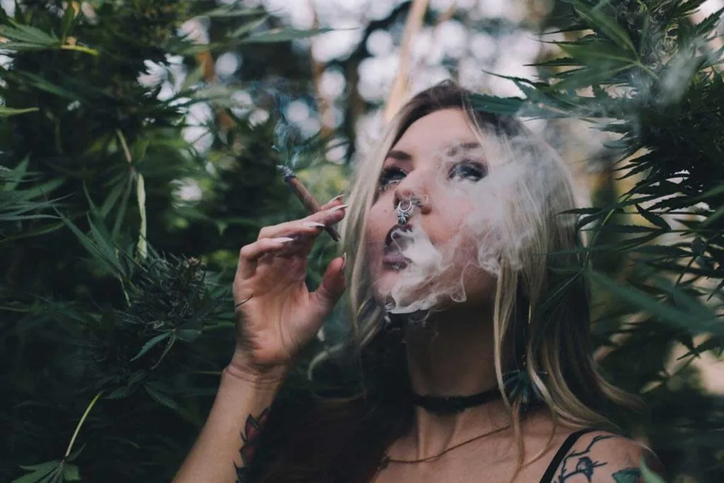Weed Smoking Reclaim