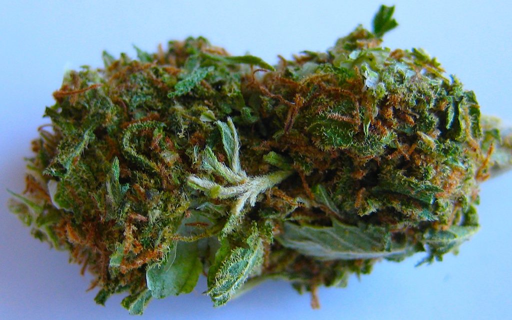 what is skunk weed