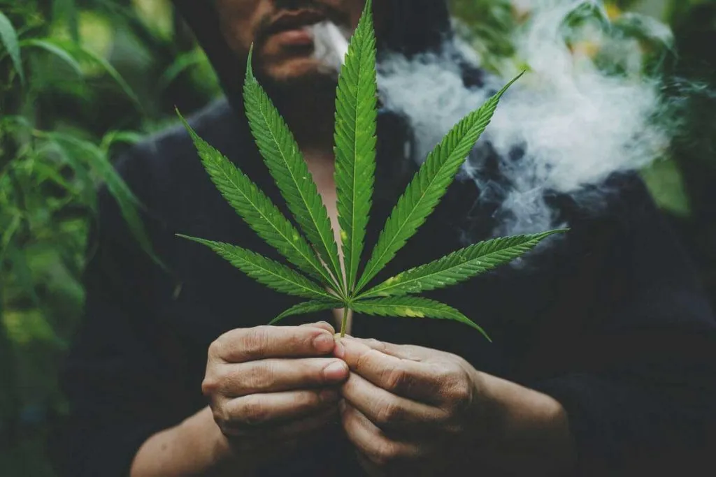 Can You Overdose on Marijuana