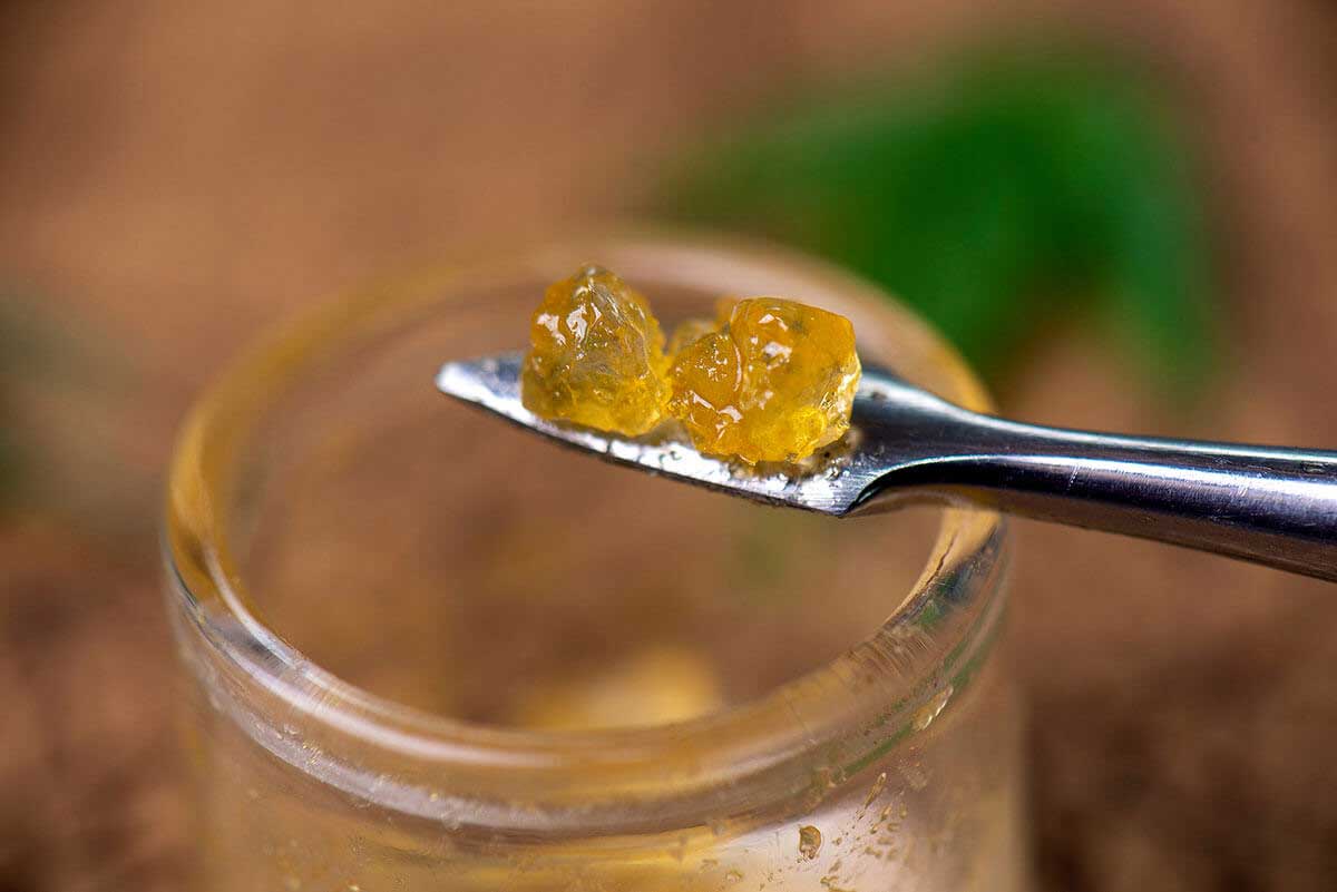 Different Types of Cannabis Concentrates