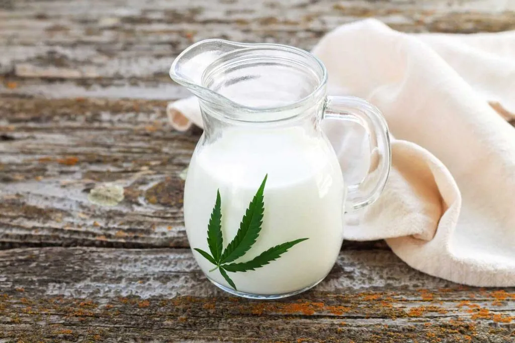 How to Make Cannabis Milk
