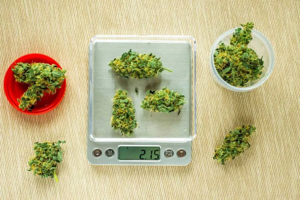 Weed Measurements