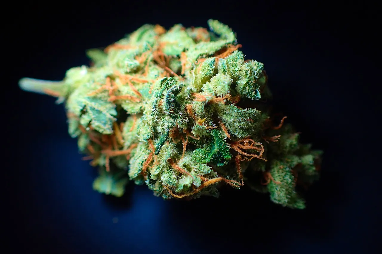 does weed go bad