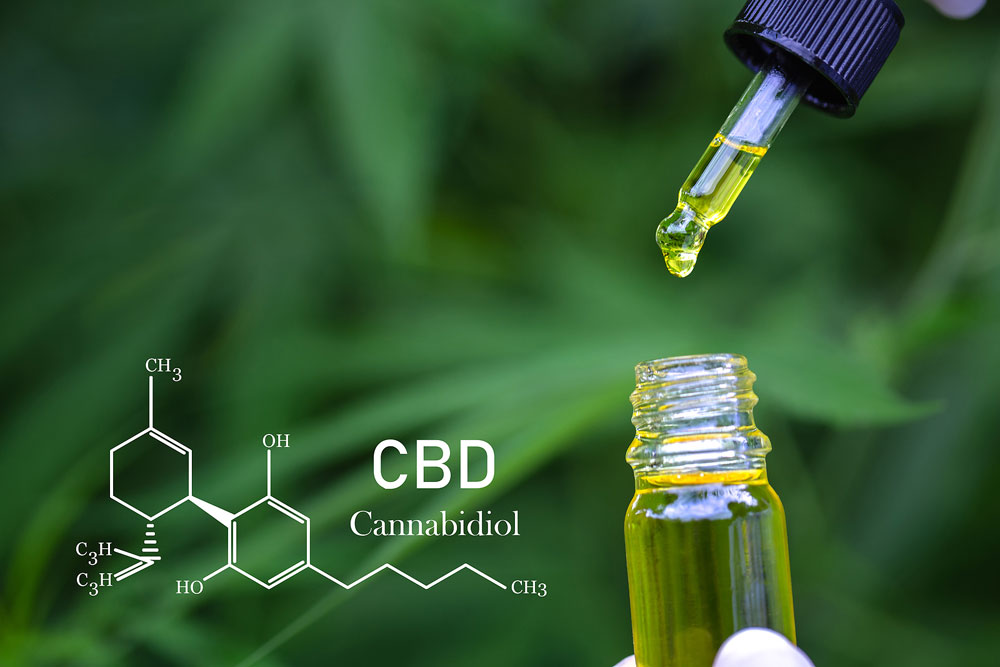 CBD Oil