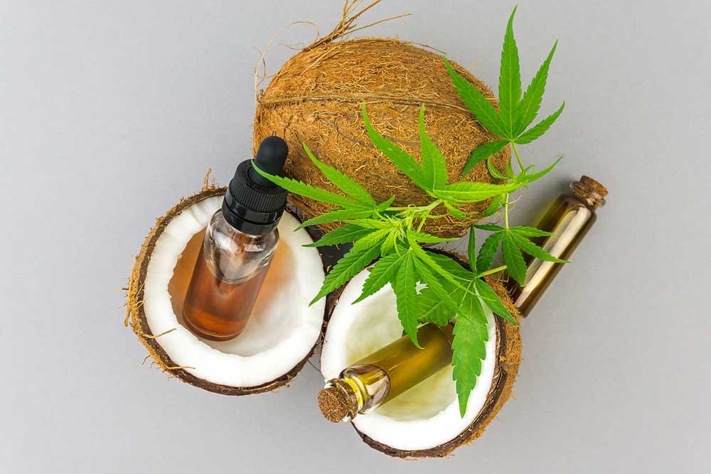 Cannabis Coconut Oil