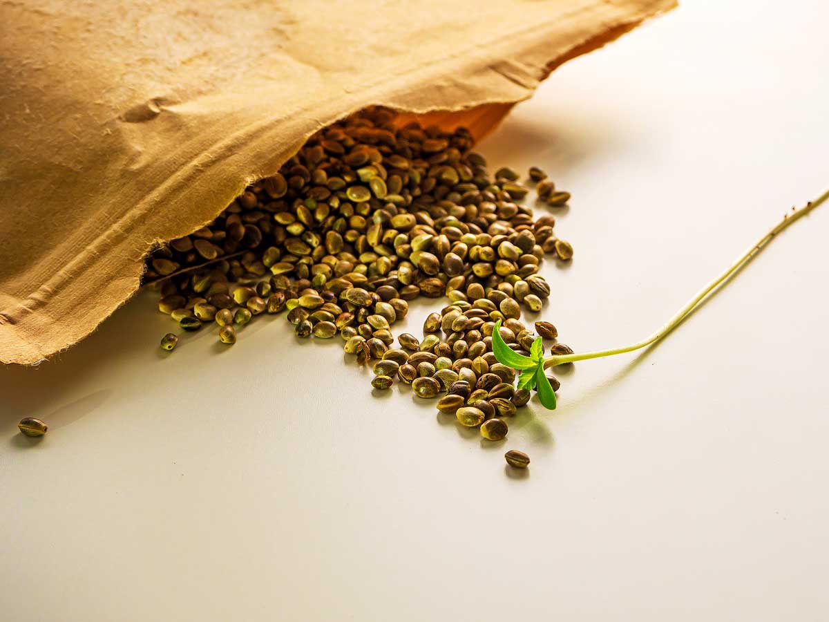Buy Autoflowering Marijuana Seeds from Canada with Worldwide Shipping