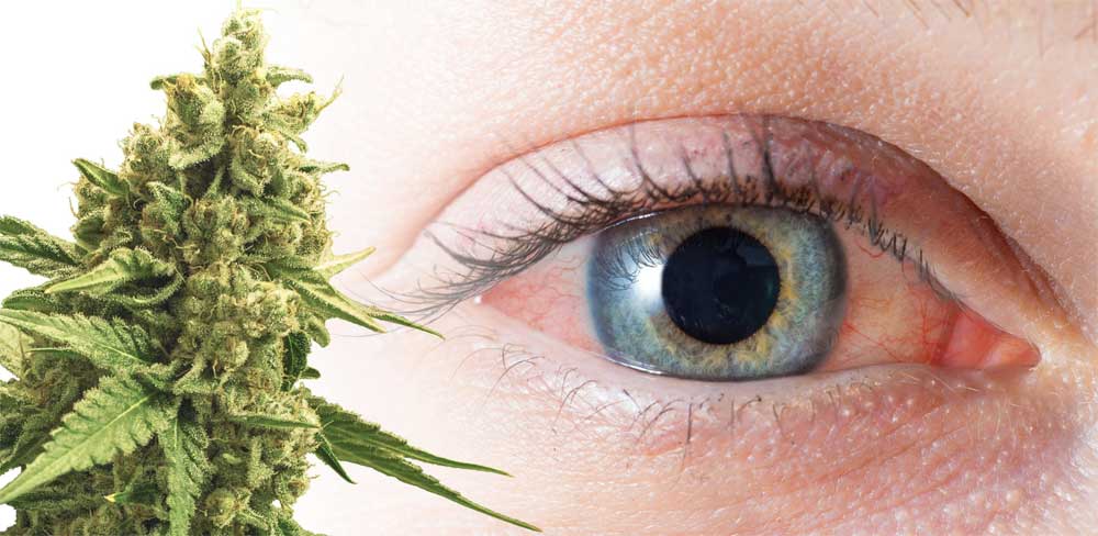 Why Does Weed Make Your Eyes Red?