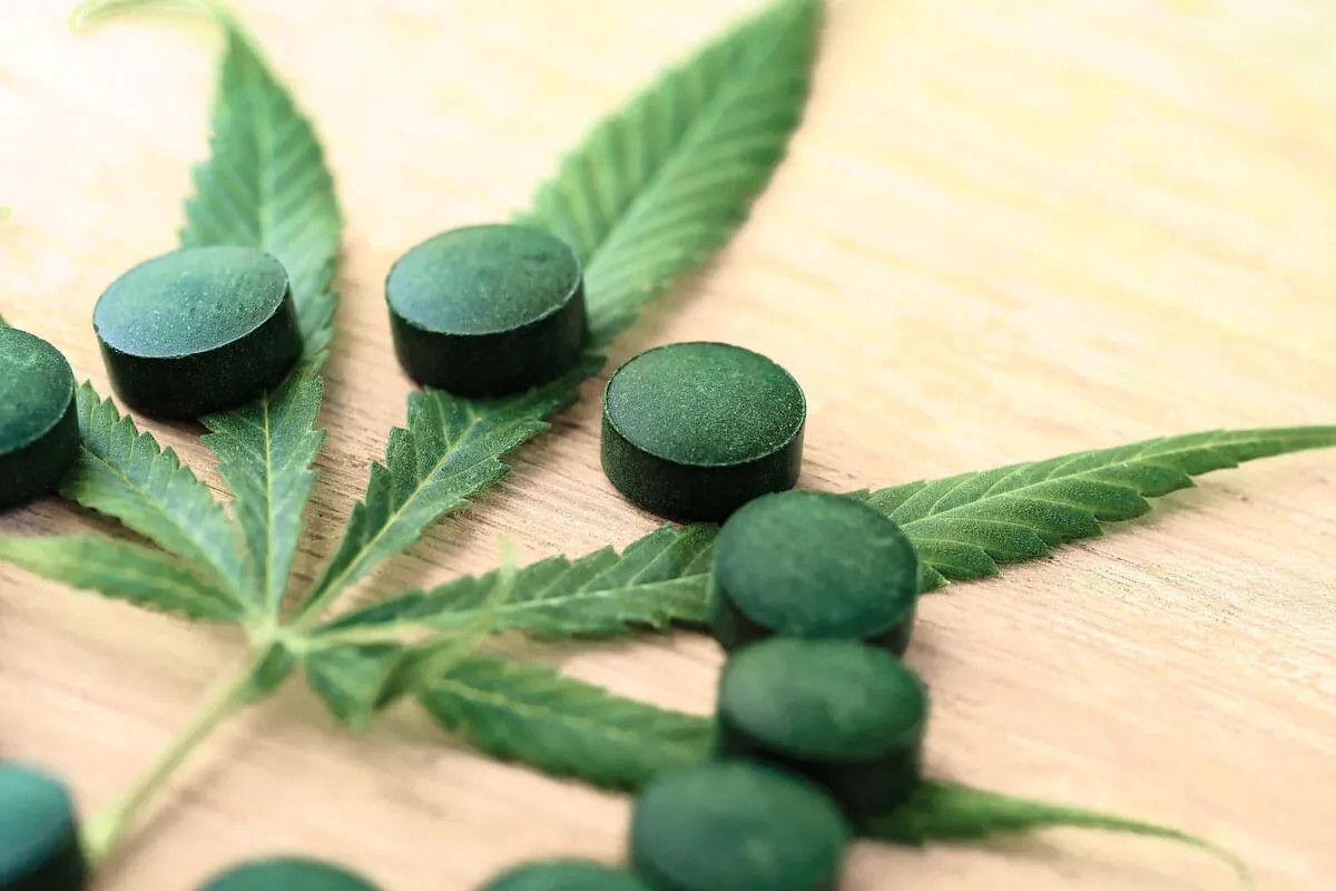 Complete Guide on How to Make THC Pills