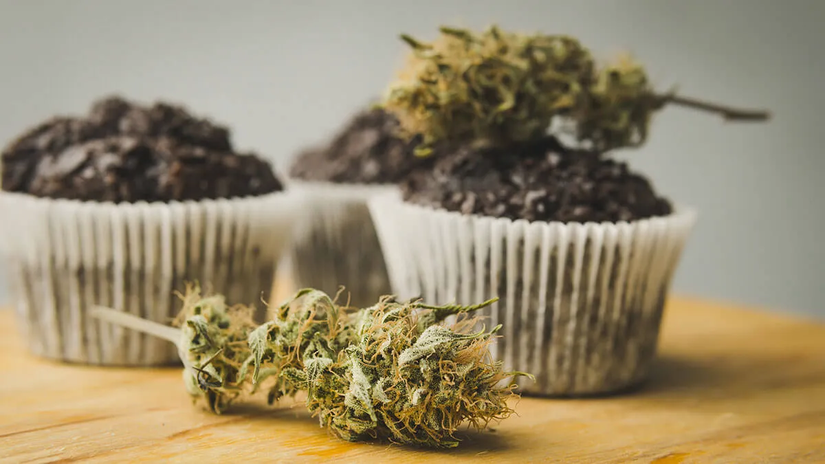 Edibles vs Smoking: Which is More Satisfying?