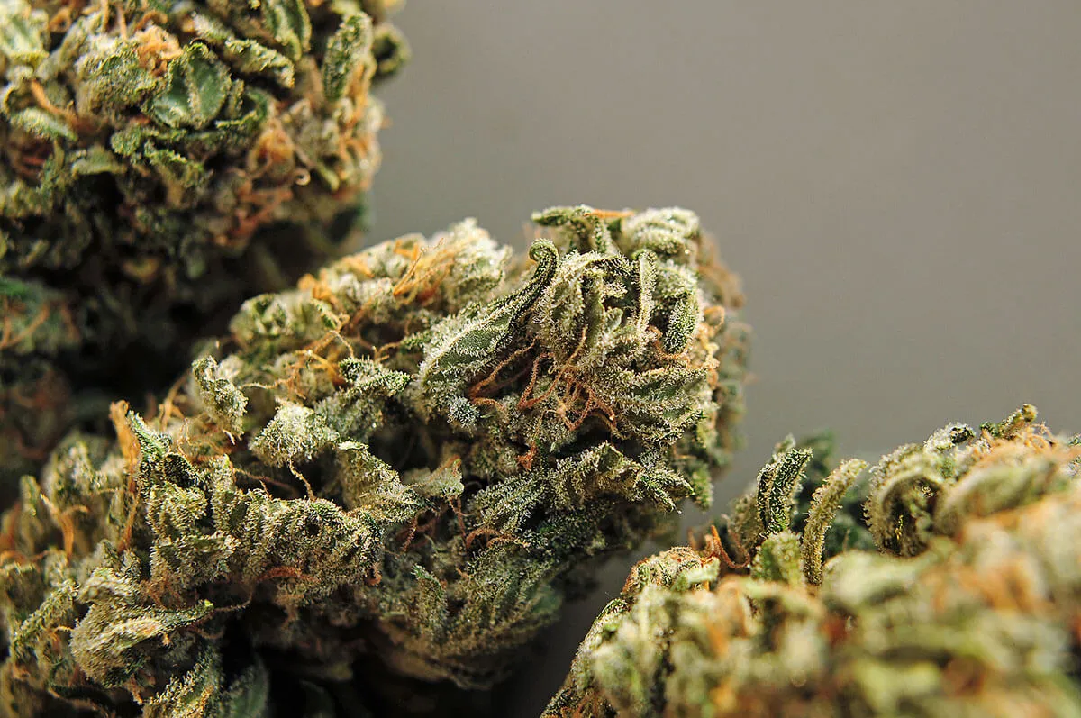 Weed and Masturbation: Men's Perfect Combination