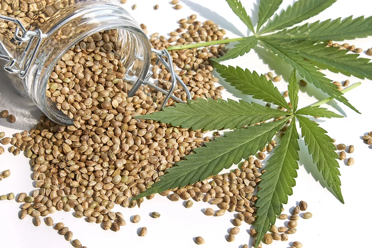 What Does Collective Mean for Weed?