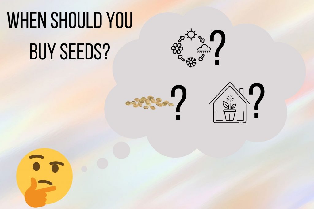 Which-Seeds-Should-I-Buy