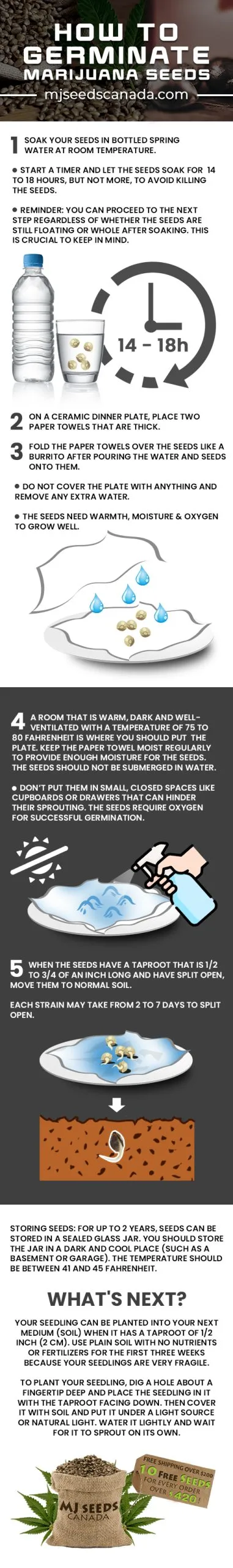 How to Germinate Marijuana Seeds