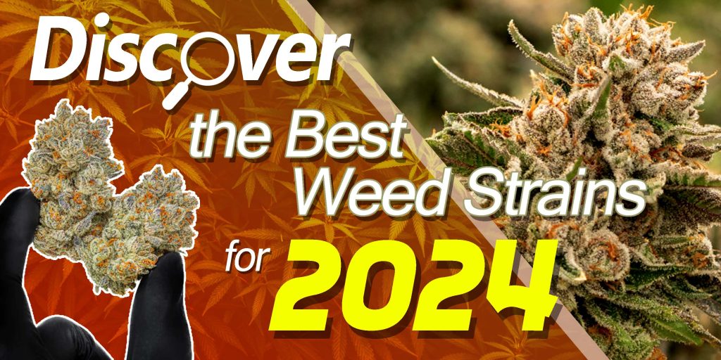 Discover the Best Weed Strains
