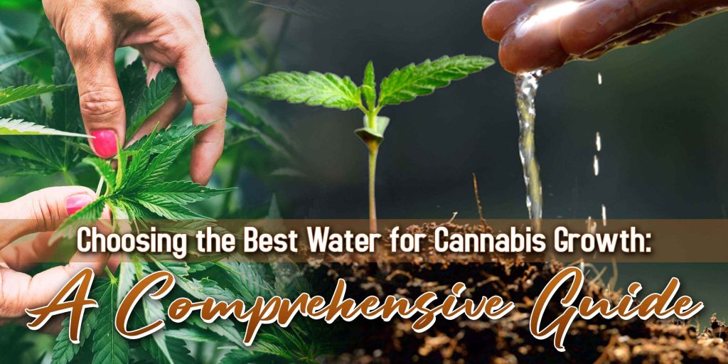 Best Water for Cannabis