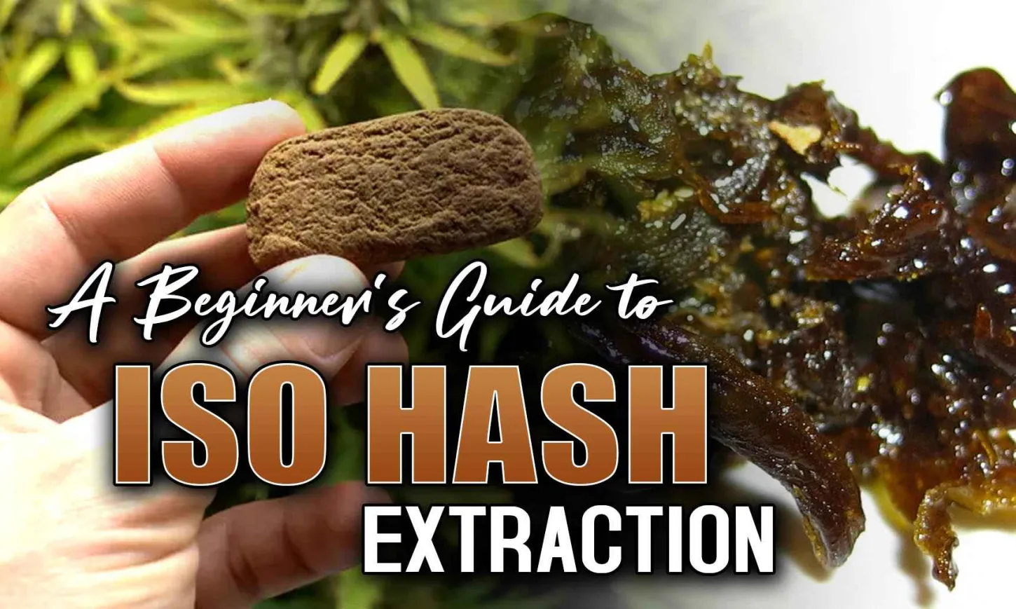 how to make qwiso hash