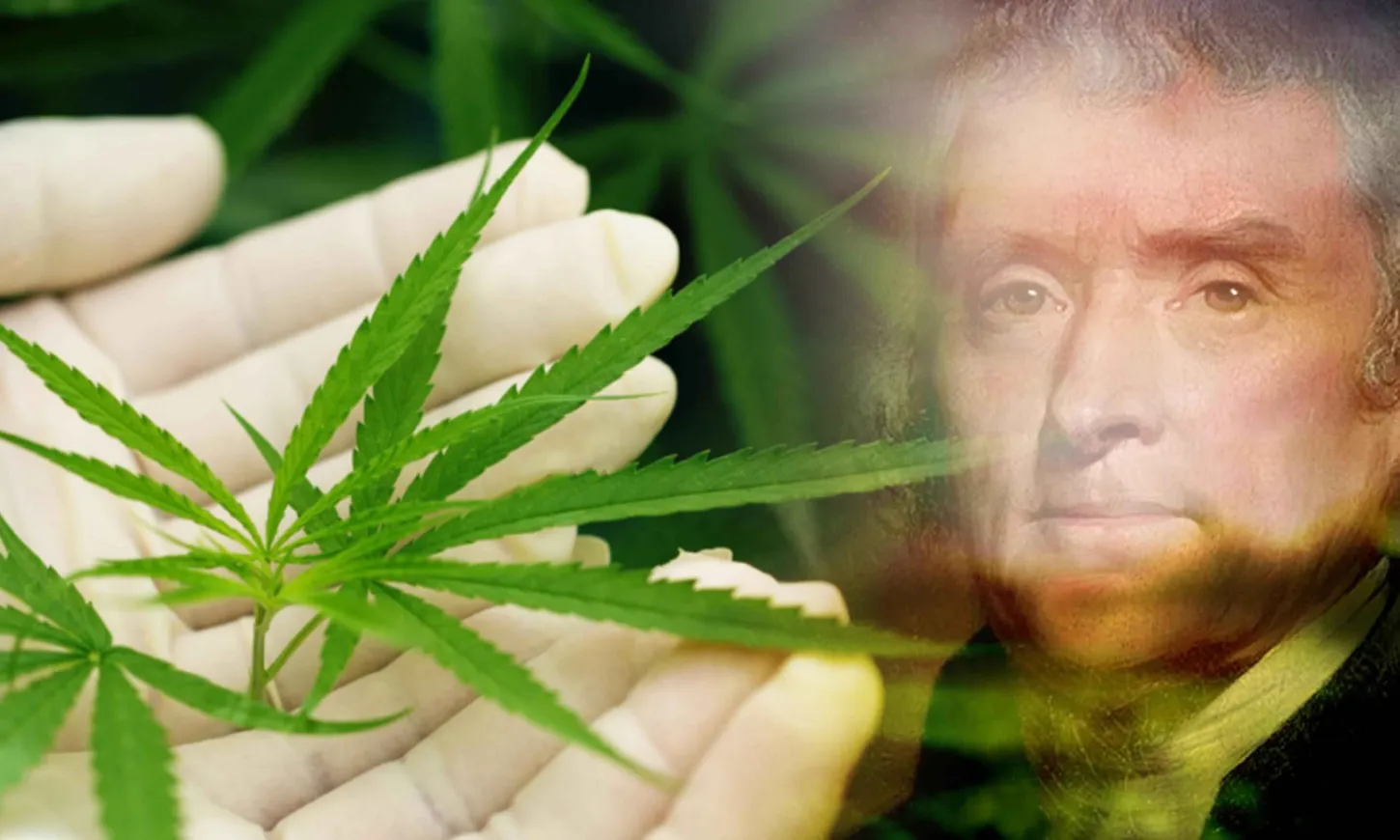 founding fathers smoke weed