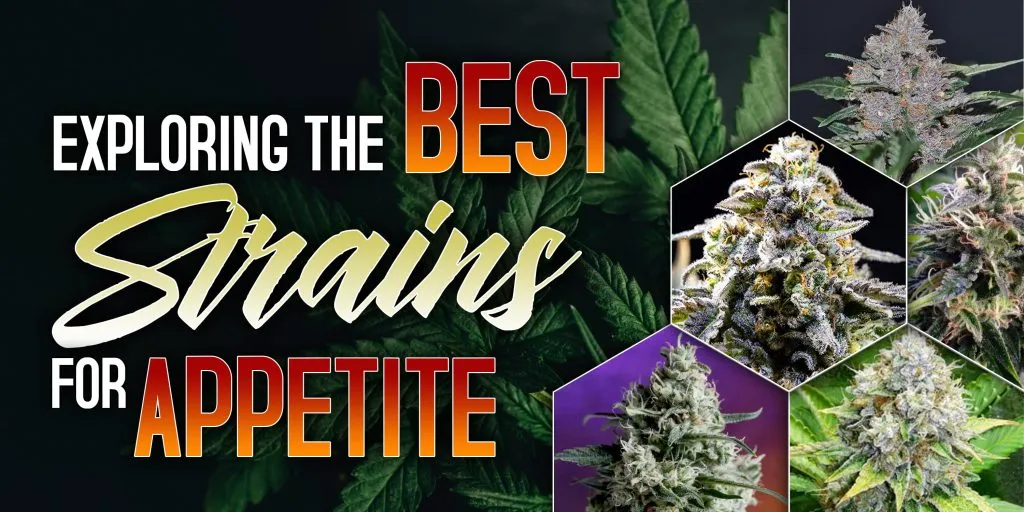 best strains for appetite