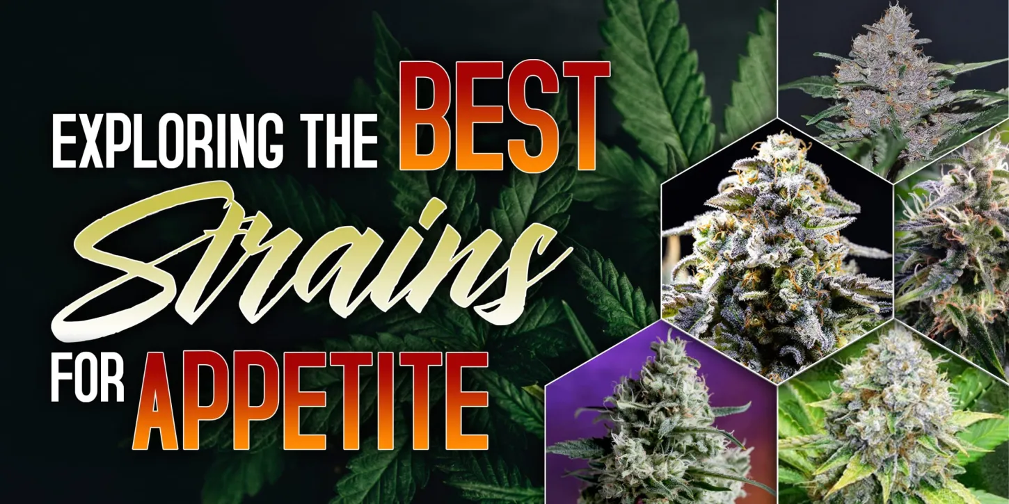 best strains for appetite