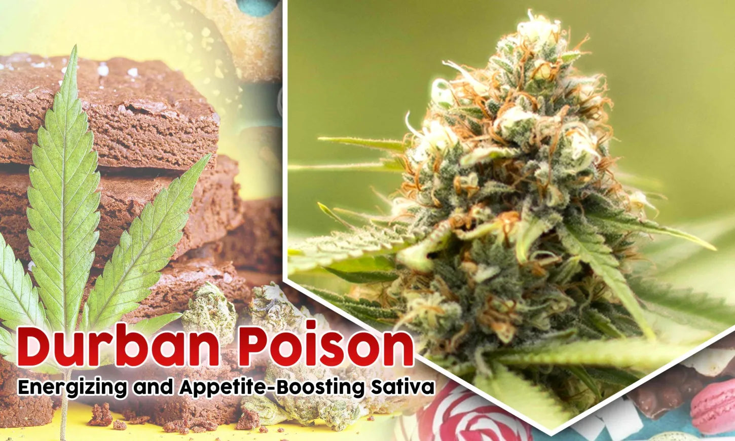 best strains for appetite