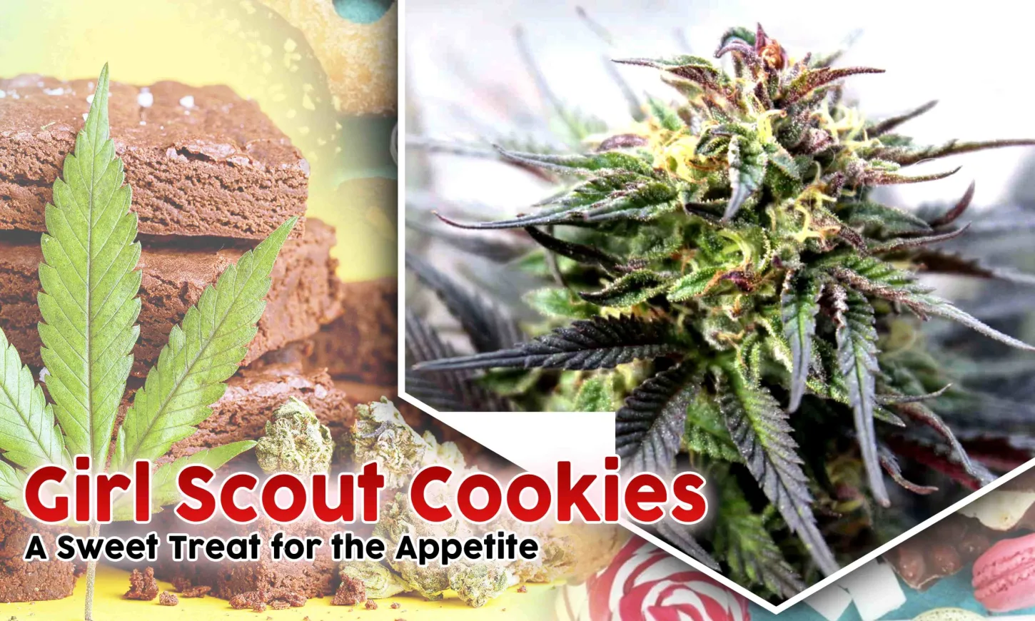 best strains for appetite