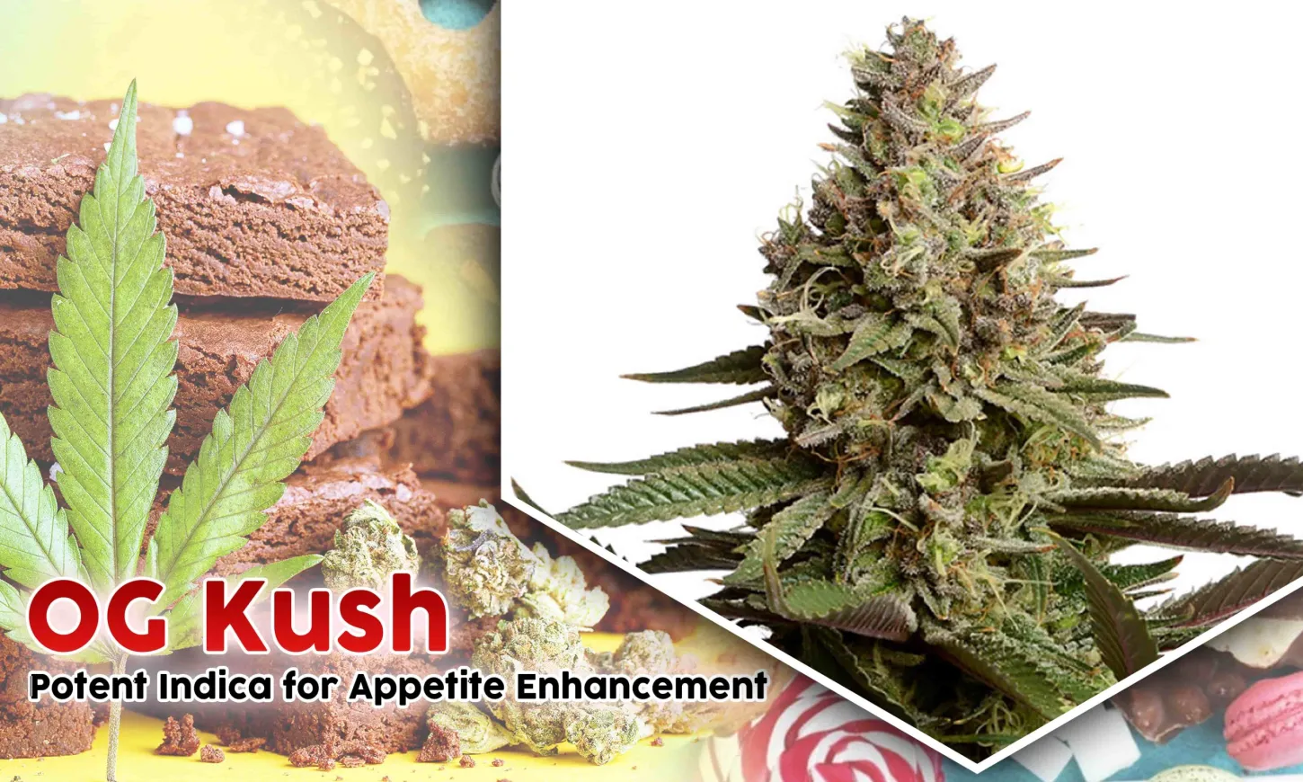 best strains for appetite
