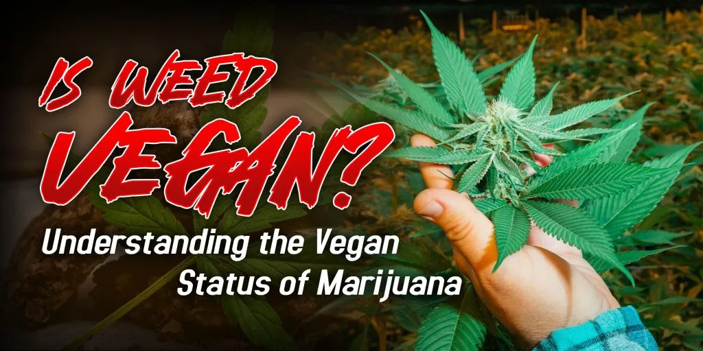 is weed vegan