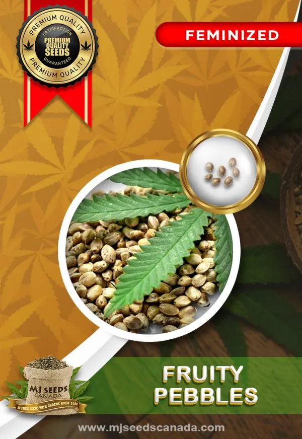 Fruity Pebbles Strain Feminized Marijuana Seeds Fruity Pebbles Strain Feminized Marijuana Seeds