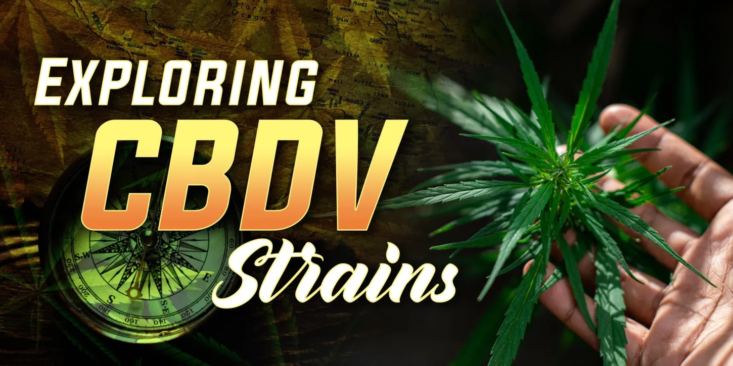 Exploring CBDV Strains