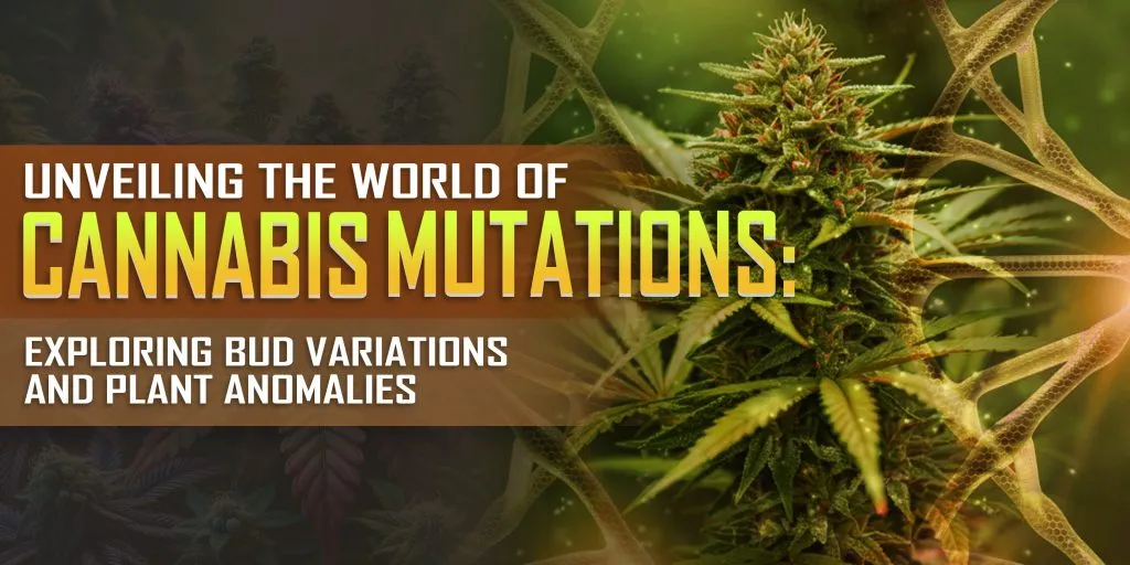 Unveiling the World of Cannabis Mutations Unveiling the World of Cannabis Mutations