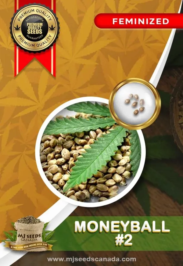 Moneyball-#2